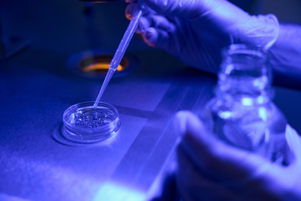 Thymol O-b-D-Glucuronide 10mg