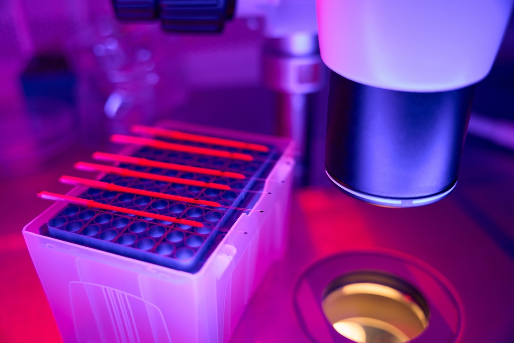 Paricalcitol Solution (3 mL) (COLD SHIPMENT REQUIRED),