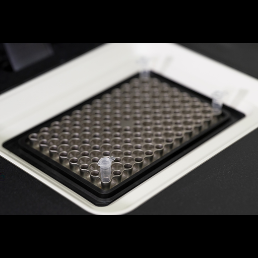 [RW2-743203.25] NucleoType Seed PCR (25)